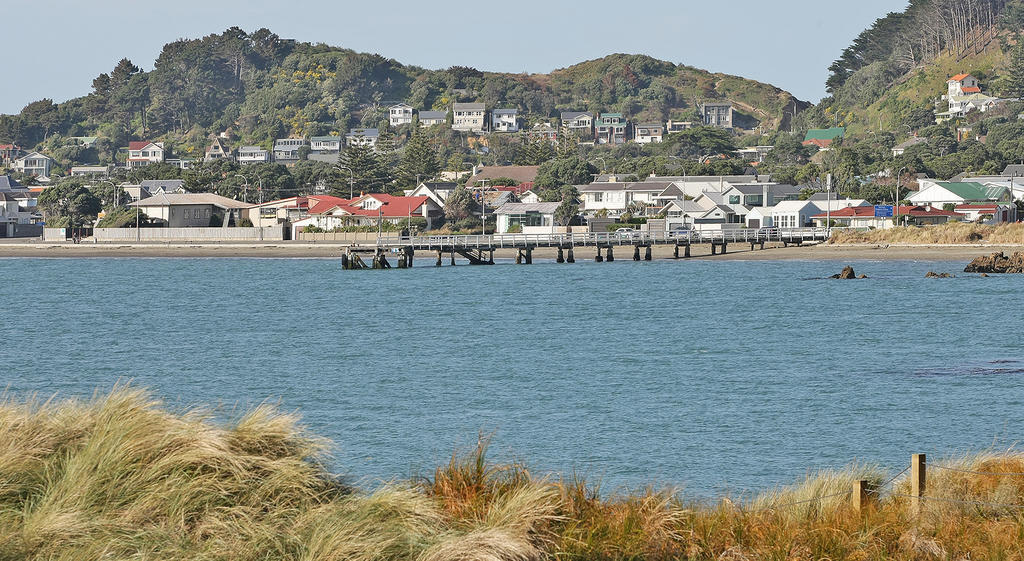 Beachfront Wellington Bed And Breakfast Exteriör bild