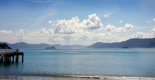 Beachfront Wellington Bed And Breakfast Exteriör bild