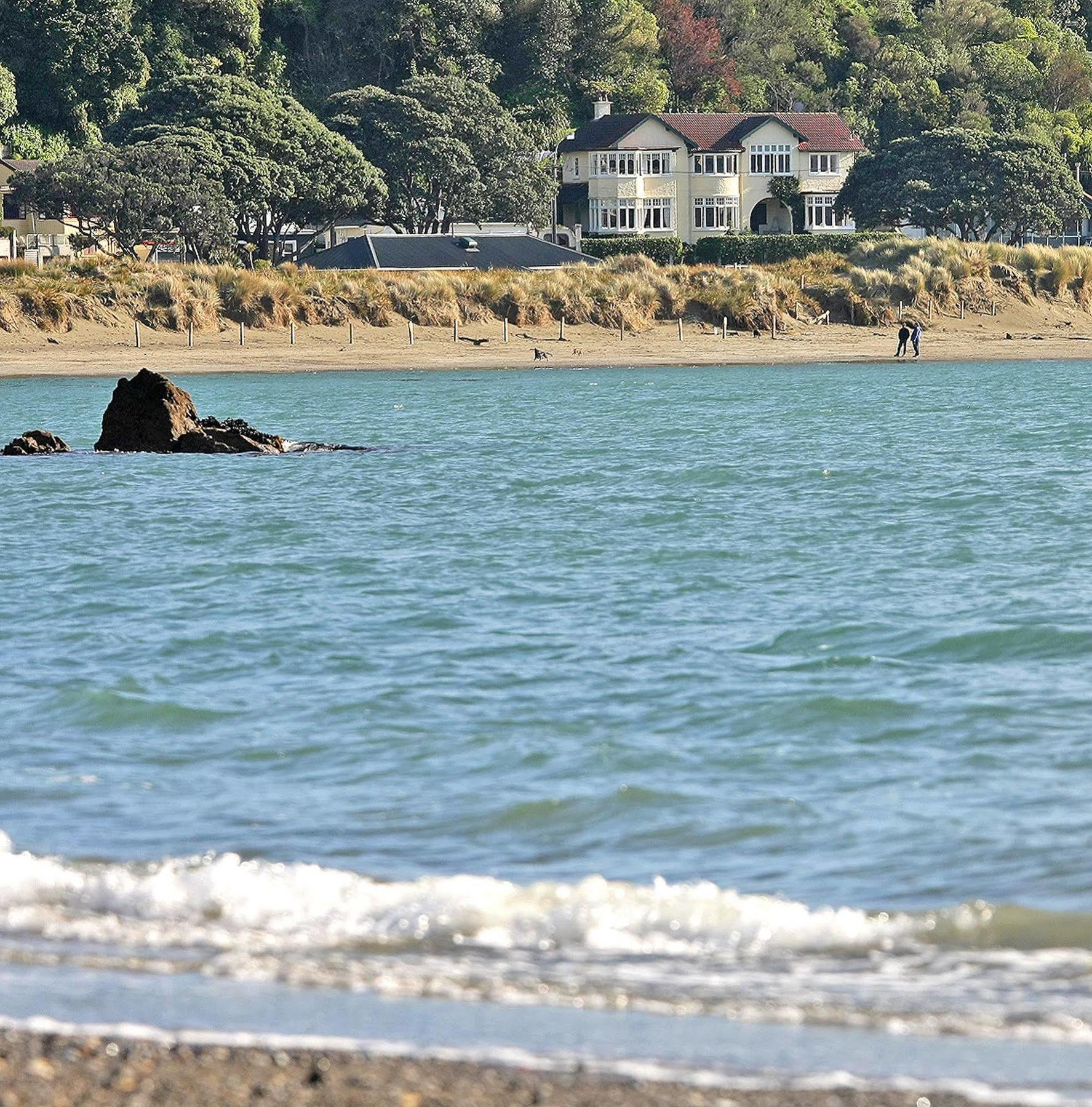 Beachfront Wellington Bed And Breakfast Exteriör bild