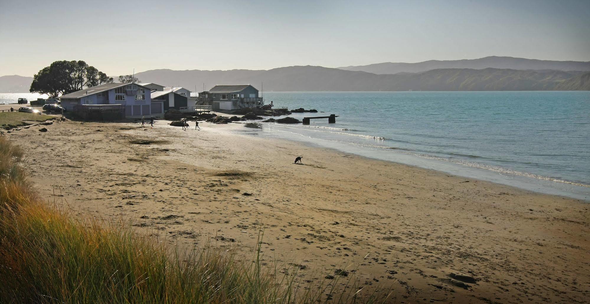 Beachfront Wellington Bed And Breakfast Exteriör bild