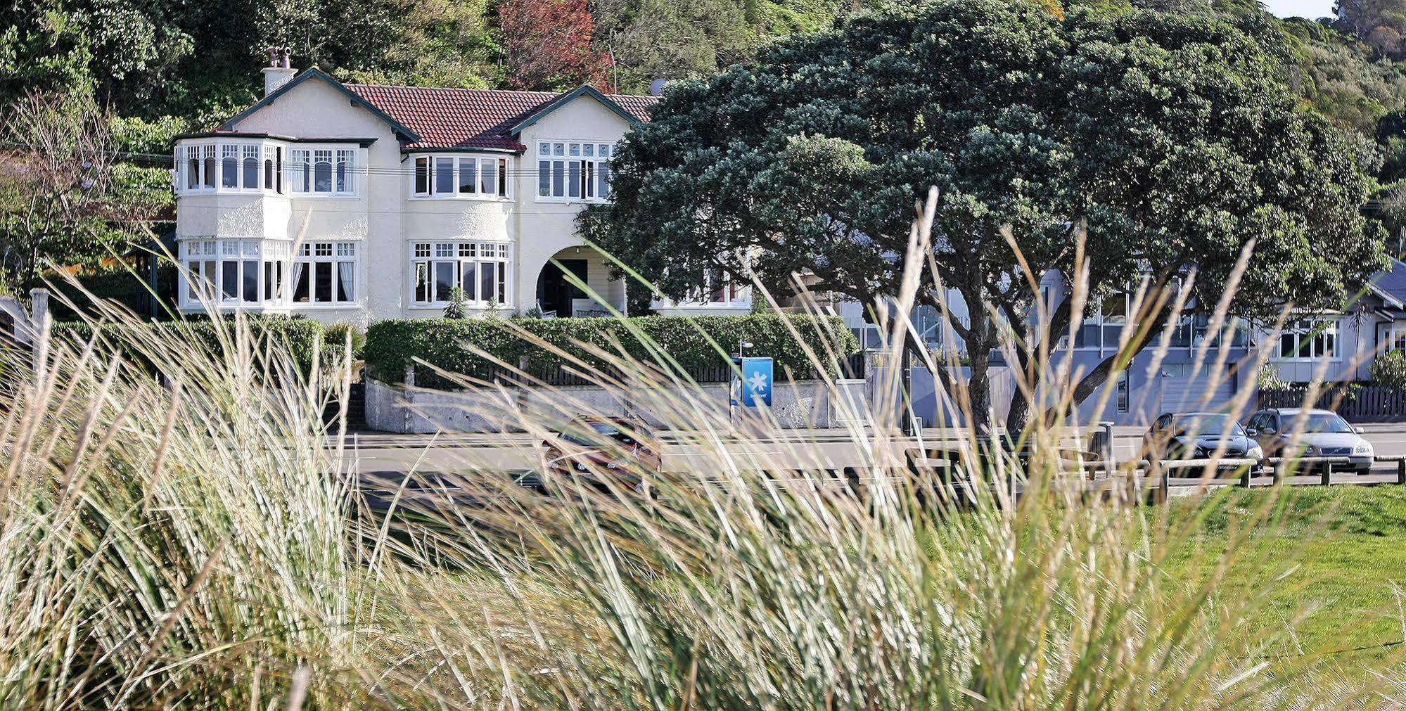 Beachfront Wellington Bed And Breakfast Exteriör bild